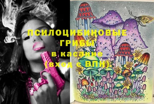 spice Алексеевка