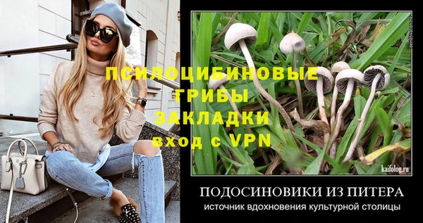 соль ск Абинск