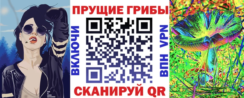 Псилоцибиновые грибы Cubensis  купить наркотики сайты  Яблоновский 